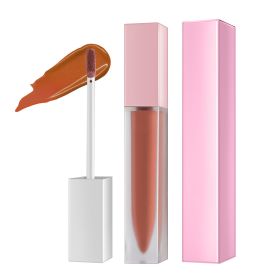 Lip Honey Matte Lipstick Glossy Clear Frosted Square Tube (Option: Style4-High gloss lip gloss)