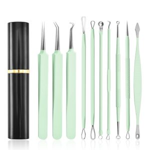 Aluminum Cylinder Mounted Acne Needle Set Of 10 Pieces - Image 1